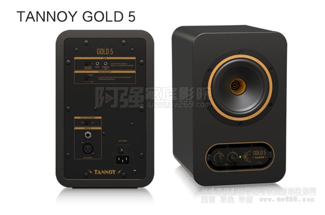  TANNOY GOLD 5ԴO B