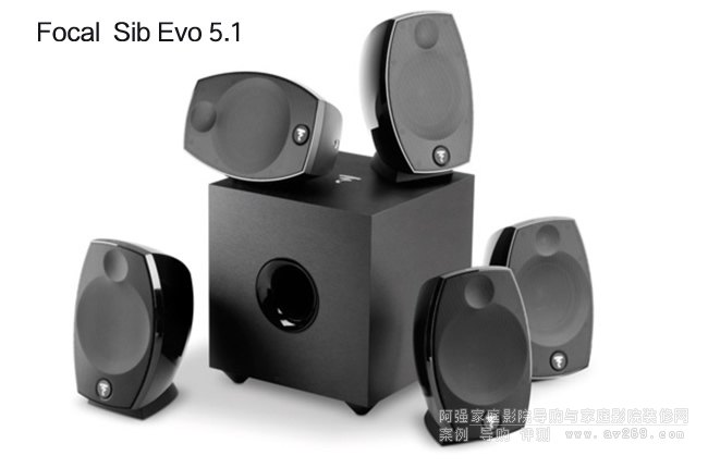 Focal Sib Evo 5.1lb